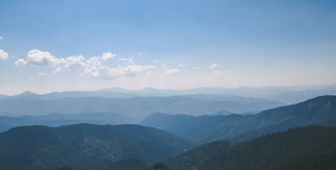 Karpatlar 'daki güzel orman manzarası