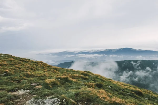 Karpatlar 'daki güzel orman manzarası — Stok fotoğraf
