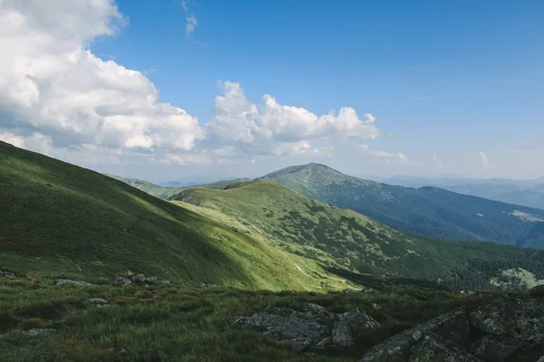 Beautiful forest landscape in the Carpathians — 스톡 사진