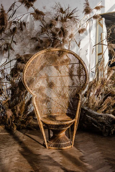 Interior dengan kursi wicker dan tanaman — Stok Foto
