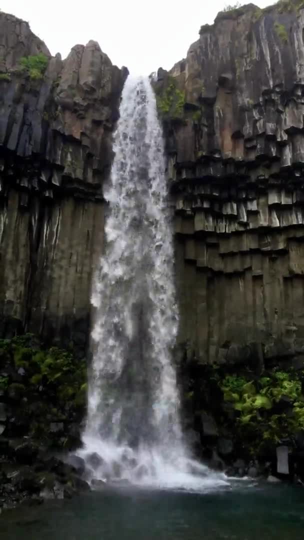 Landschappelijk Uitzicht Prachtige Svartifoss Waterval Ijsland Verticale Video — Stockvideo