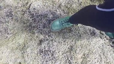 Yeşil çizmeli kadın bacakları İzlanda 'da yosun üzerinde yürüyor.
