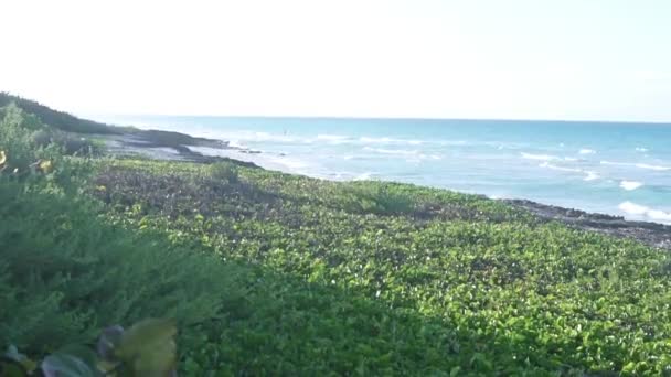 Mar do Caribe, praia na ilha de Santa Maria República de Cuba — Vídeo de Stock