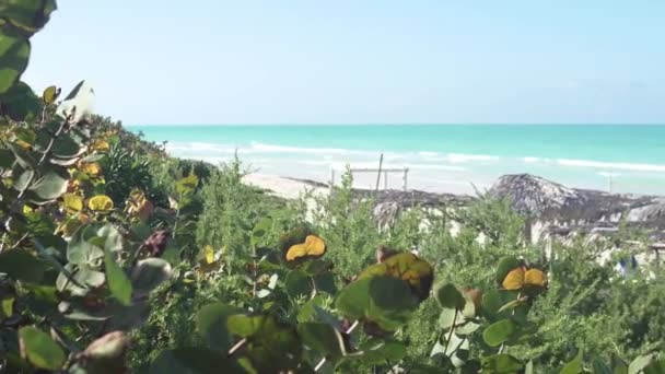 Karayipler, Santa Maria Adası, Küba. — Stok video