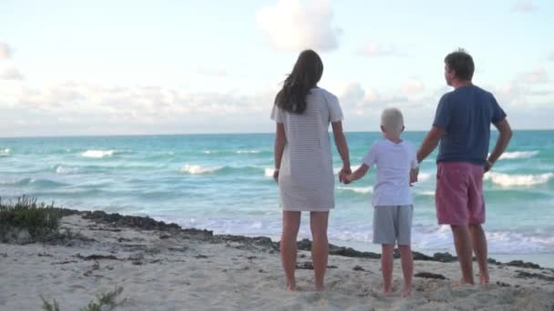 De familie houdt elkaars hand vast en kijkt uit op zee. — Stockvideo