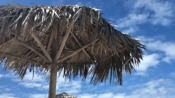 Folha de palma guarda-chuvas praia — Vídeo de Stock