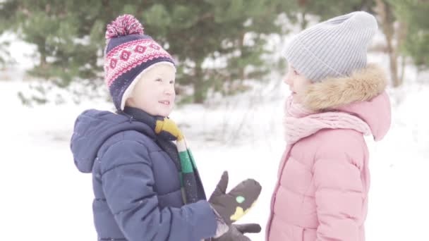 Ένα αγόρι και ένα κορίτσι μιλούν σε μια βόλτα στο χιονισμένο δάσος — Αρχείο Βίντεο