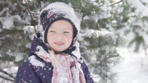 Un primer plano de una niña durante una caminata invernal . — Vídeos de Stock