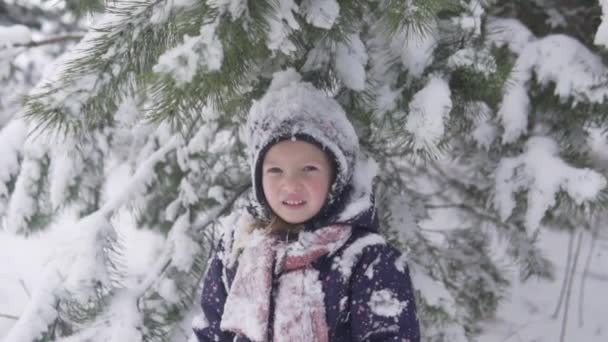 Close-up de uma menina em uma floresta nevada — Vídeo de Stock