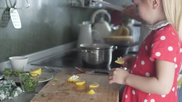 A little girl helps her mother cook at home in the kitchen — Stock Video