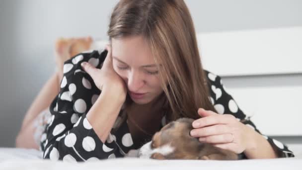 Een mooie vrouw streelt een beagle puppy thuis in bed — Stockvideo