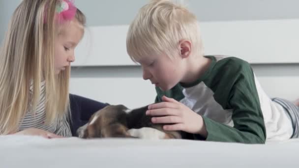 Concept παιδιά και το σκυλί στο σπίτι. — Αρχείο Βίντεο