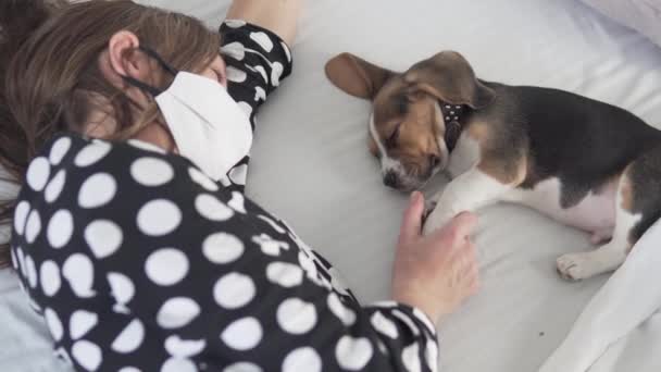 Een vrouw strelen een hondje thuis in quarantaine. — Stockvideo