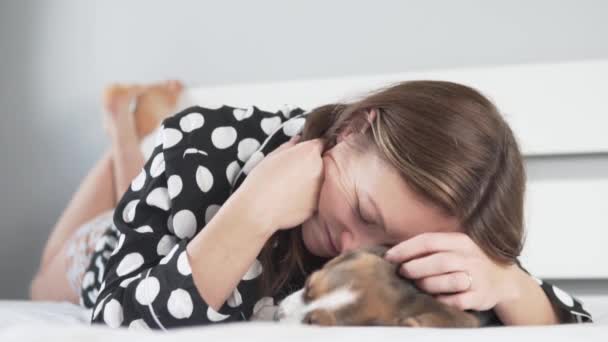 Een vrouw streelt een kleine beagle puppy in de ochtend in bed. — Stockvideo