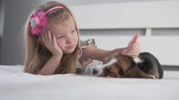 Een schattig klein meisje streelt een slapende beagle puppy in bed in de ochtend — Stockvideo