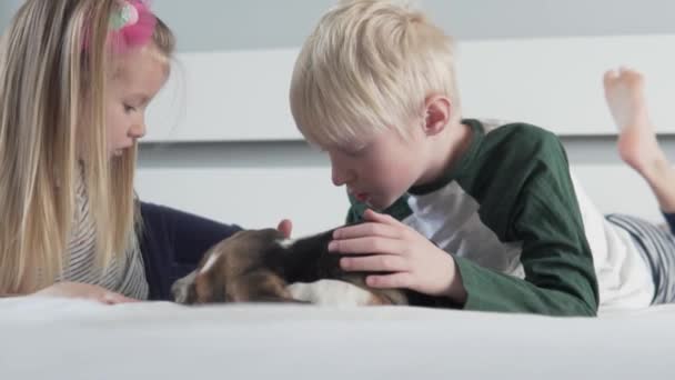 Crianças felizes com bonito filhote de cachorro beagle mentira em casa na cama — Vídeo de Stock