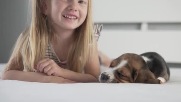 O conceito é uma criança pequena e um cão no apartamento . — Vídeo de Stock