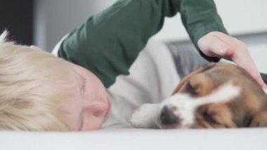 Sarışın bir çocuk yatakta küçük bir av köpeğini okşar.