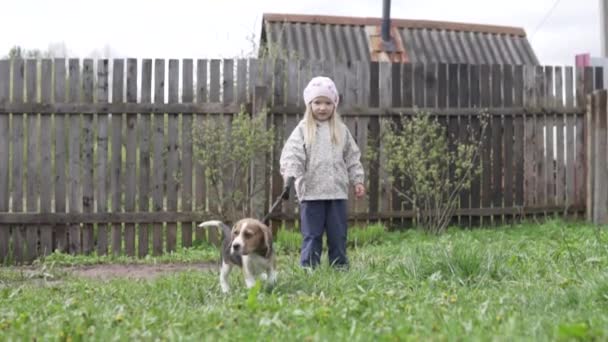 Маленька дівчинка вигулює собаку бігль на дачі — стокове відео