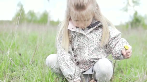 Uma linda menina arranca as primeiras flores silvestres na primavera no campo — Vídeo de Stock