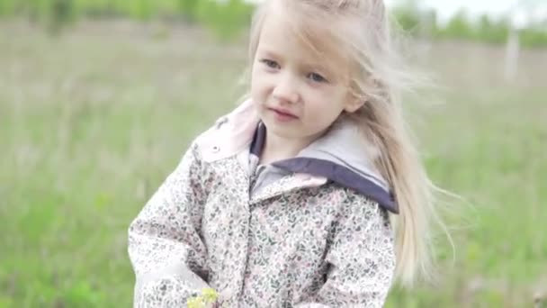 Menina bonita caminha no campo na primavera — Vídeo de Stock