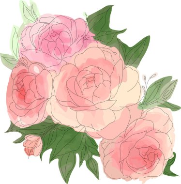 Yeşil yaprakları ile pembe peonies 