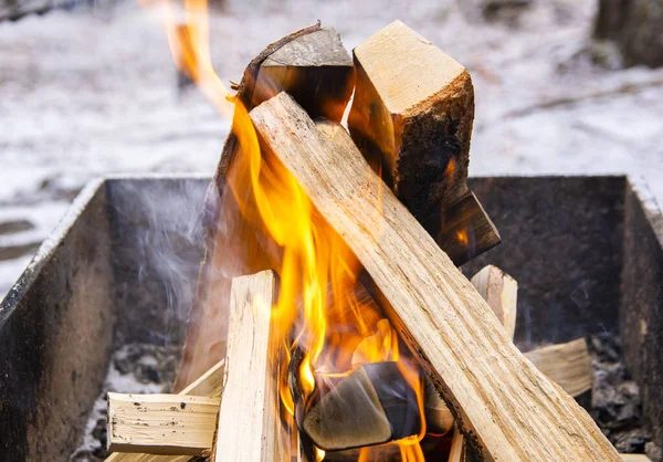 Burning wooden logs and fire, camping in winter, Finland