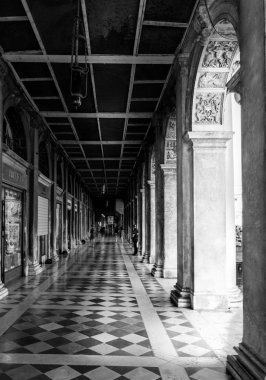 St. Mark 'ın karesi