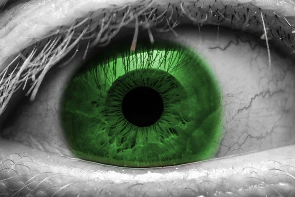 Green human eye macro