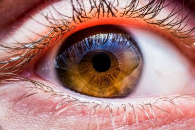 kahverengi insan gözü