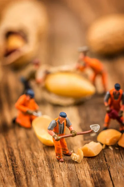 Postavy, které pracují na arašídy — Stock fotografie