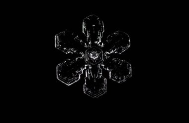 Siyah gerçek kar tanesi