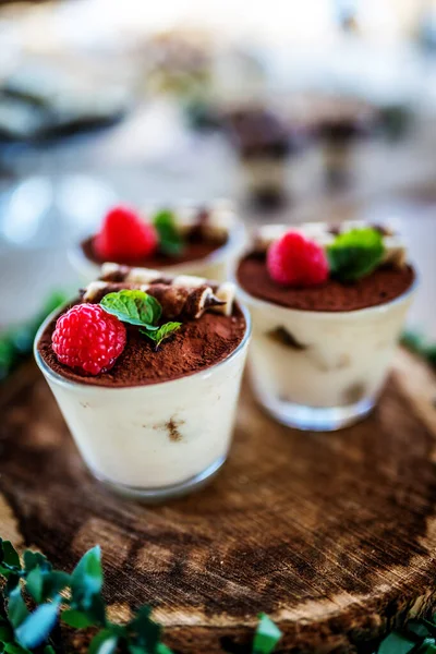 Italian dessert tiramisu — Stock Photo, Image