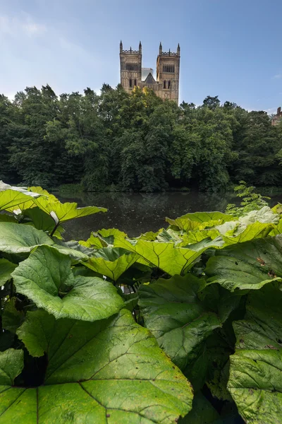 Durham kathedraal - Engeland Uk — Stockfoto