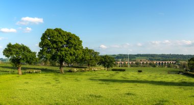 Crimple Vadisi - Harrogate, North Yorkshire, İngiltere