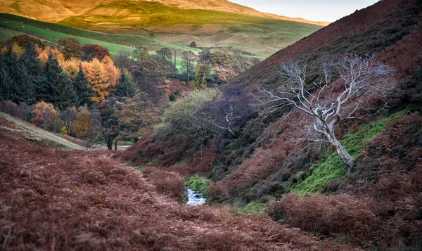 Autumn- England UK Europe — Stock Photo, Image