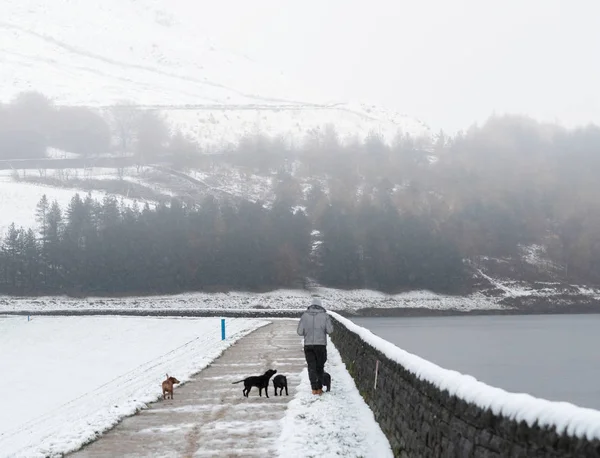 Wandelen met de honden aan kust vrouw — Stockfoto