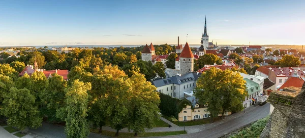Tallinn skyline, Estonia — стоковое фото