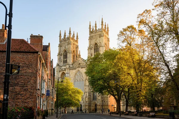 York minster kathedrale england — Stockfoto