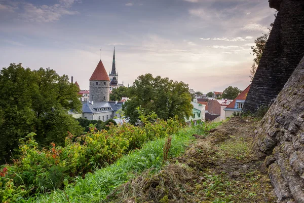 Tallinn oude stad — Stockfoto