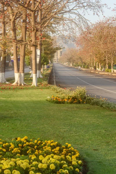 Fresh yellow flowers near road — Stock Photo, Image