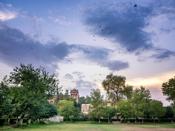 Птахи, що летить над коледжу Міллія-Ісламія — стокове фото