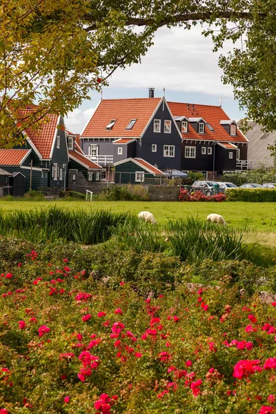 Casas com jardim na frente — Fotografia de Stock