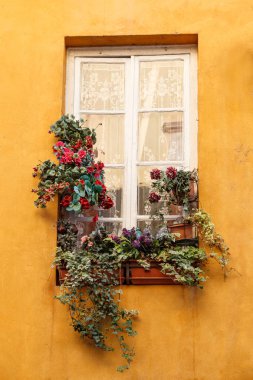 İtalyan tarzı cephe görünümü kırmızı güzel büyüyen çiçekli penceresinin görünümünü cephe 