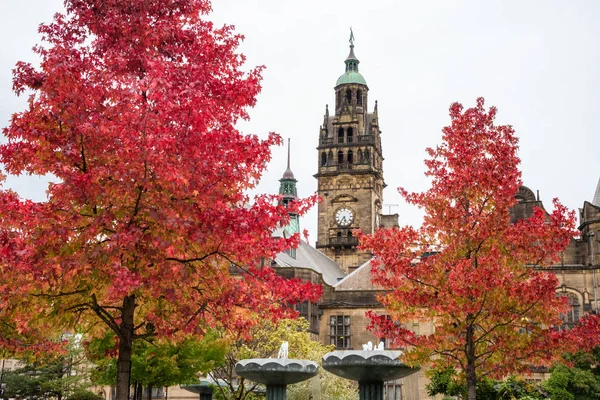 Sheffield Belediye Kırmızı Sonbahar Renk Ağaçlarıyla Sheffield Ngiltere Ngiltere Çevrili — Stok fotoğraf