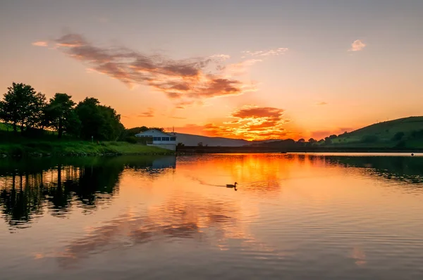 Sahne Günbatımı Ağaçlar Nehir Yüzme Ördek — Stok fotoğraf