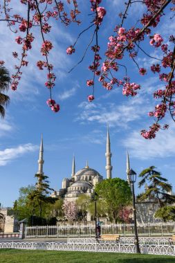 Fatih Camii, Fatih Camii, bahar zamanı, Istanbul, Türkiye.