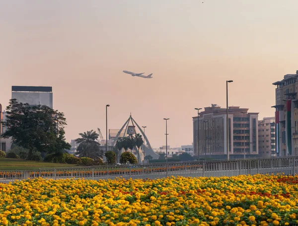 Vista Canteiro Flores Amarelo Centro Cidade Deria Emirados Árabes Unidos — Fotografia de Stock