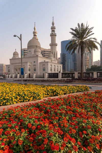 Prachtige Lentebloemen Bloeien Dubai Verenigde Arabische Emiraten — Stockfoto