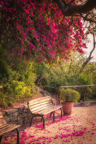 ピンクの花ぼかしのカラフルな背景が付いているベンチの上に落ちて — ストック写真